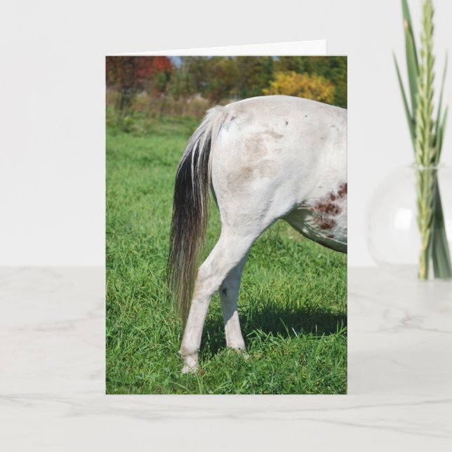 Horses baksida för adjö kort (Framsida)