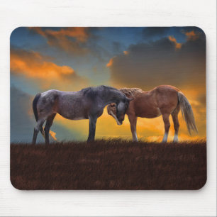 Horses Bevackra Sunset Surreal Fantasy Land Musmatta