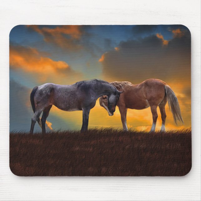 Horses Bevackra Sunset Surreal Fantasy Land Musmatta (Framsidan)