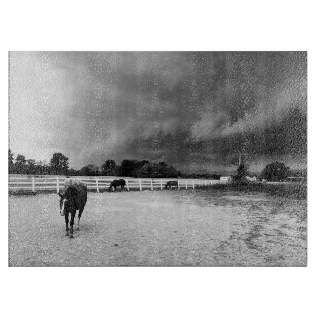 Horses Black and White (Framsidan)