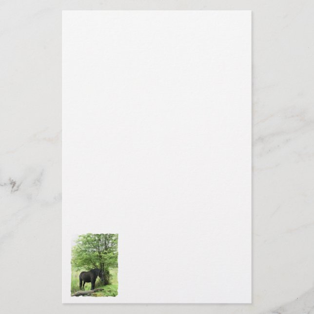 HORSES BREVPAPPER (Framsida)