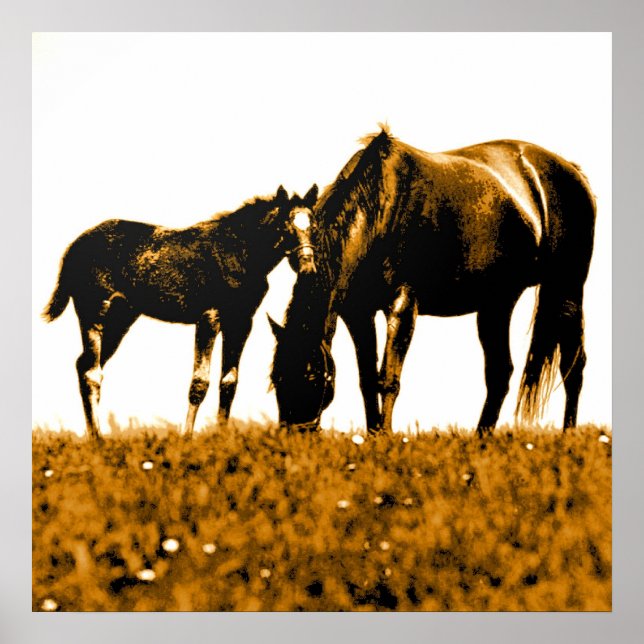 Horses Brown Gult Pop Art Square Poster (Framsidan)