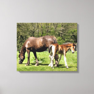 HORSES CANVASTRYCK