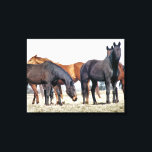 HORSES CANVASTRYCK<br><div class="desc">En fotografisk utformning av en hjord av hästar som väntar på att matas. com</div>