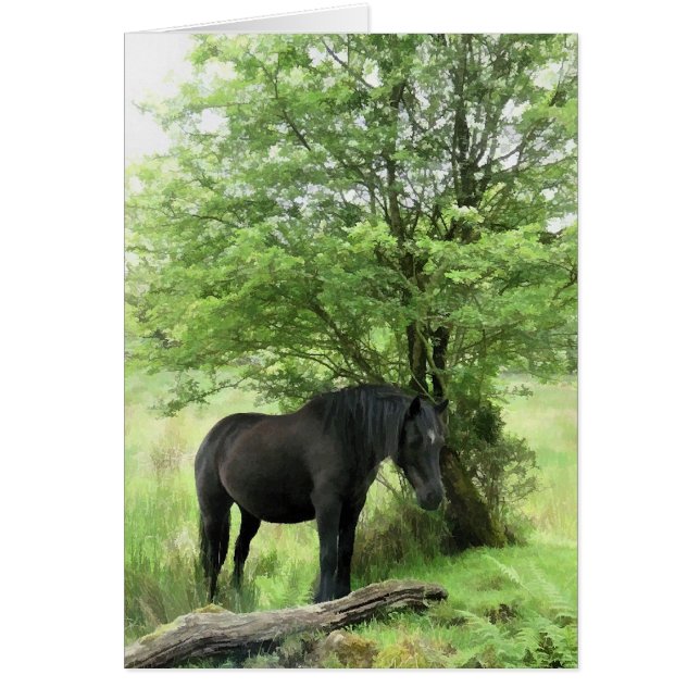 HORSES CARD HÄLSNINGSKORT (Framsidan)