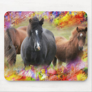 Horses Colorful Musmatta