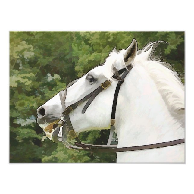 HORSES FOTOTRYCK (Framsidan)