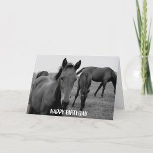 HORSES GRATTIS PÅ FÖDELSEDAGEN-kort Kort