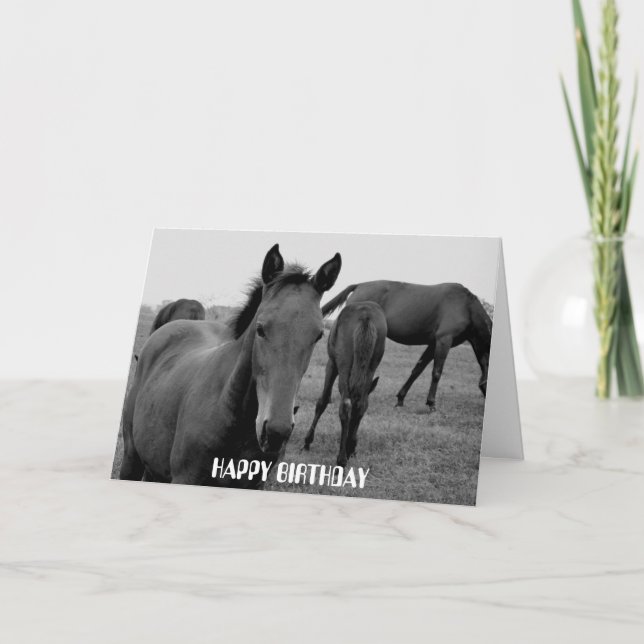 HORSES GRATTIS PÅ FÖDELSEDAGEN-kort Kort (Framsida)