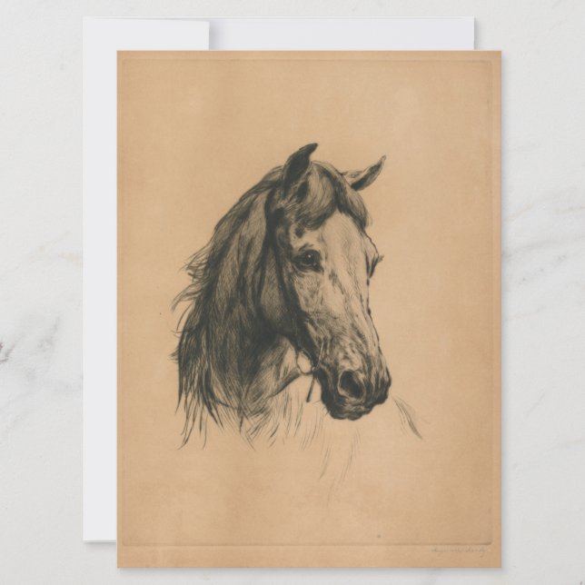 Horses Head (av Heywood Hardy) Kort (Framsida)