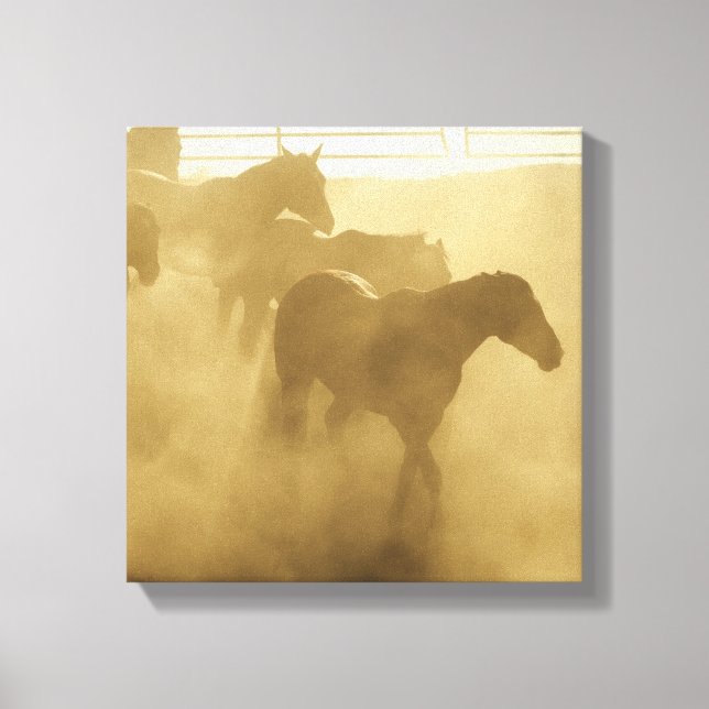 Horses in corral canvastryck (Framsida)