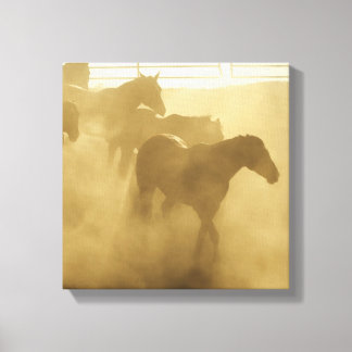 Horses in corral canvastryck