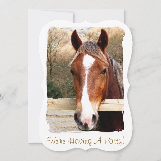 HORSES-INBJUDANDE (Framsida)