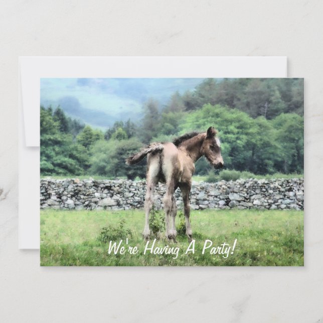 HORSES-INBJUDANDE (Framsida)