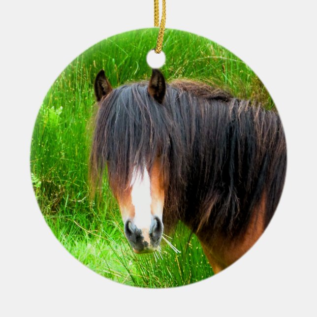 HORSES JULGRANSPRYDNAD KERAMIK (Framsidan)