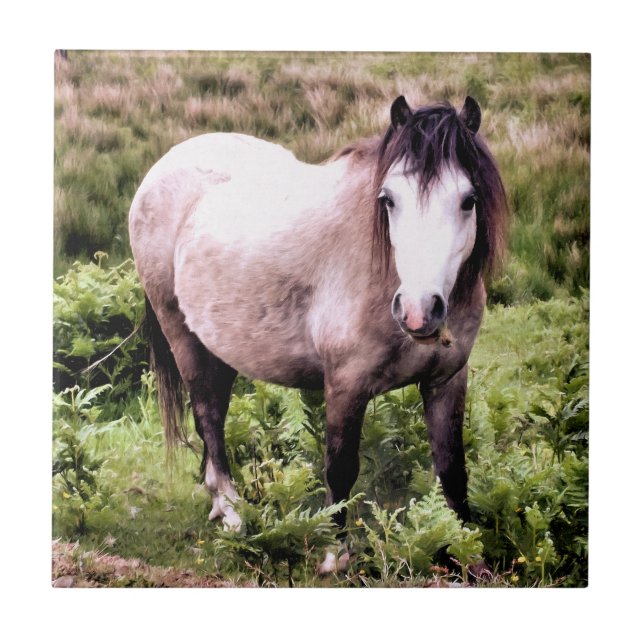 HORSES KAKELPLATTA (Framsidan)