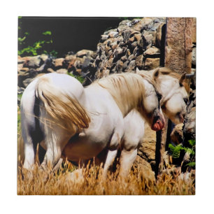 HORSES KAKELPLATTA