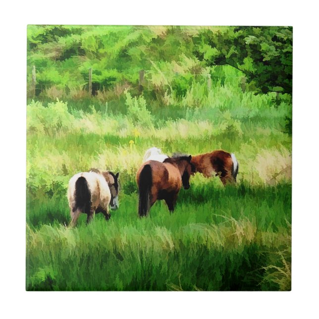 HORSES KAKELPLATTA (Framsidan)