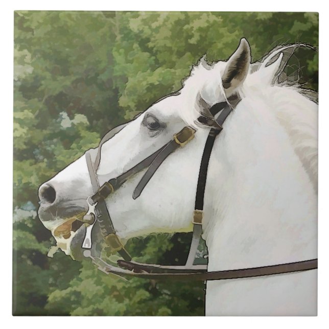 HORSES KAKELPLATTA (Framsidan)