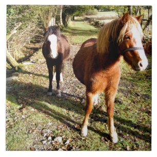 HORSES KAKELPLATTA