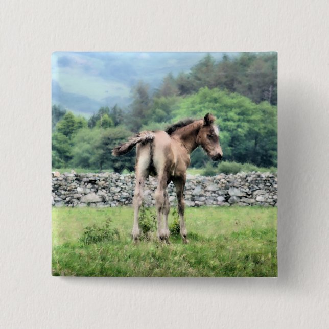 HORSES KNAPP (Framsida)