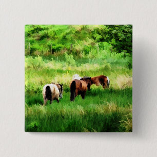 HORSES KNAPP