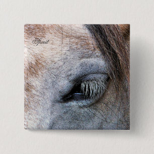 HORSES KNAPP