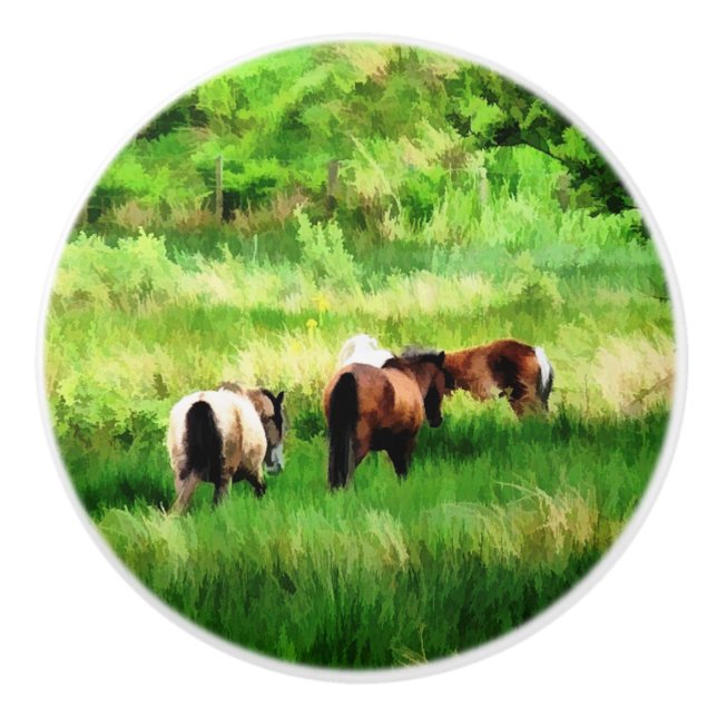 HORSES KNOPP (Framsidan)