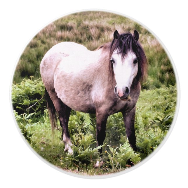 HORSES KNOPP (Framsidan)