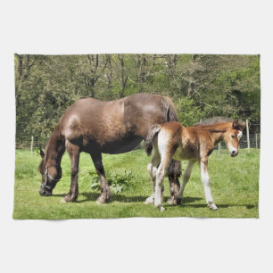 HORSES KÖKSHANDDUK
