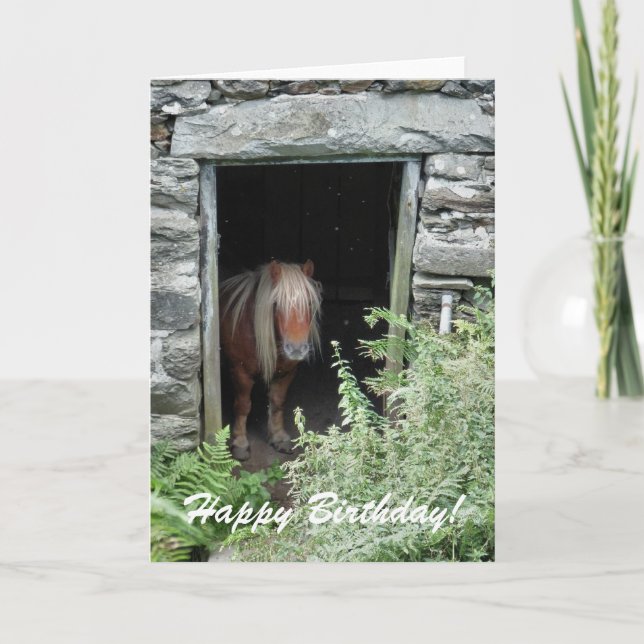 HORSES KORT (Framsida)