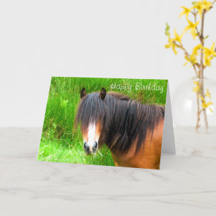 HORSES KORT