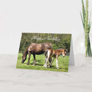HORSES KORT
