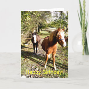 HORSES KORT