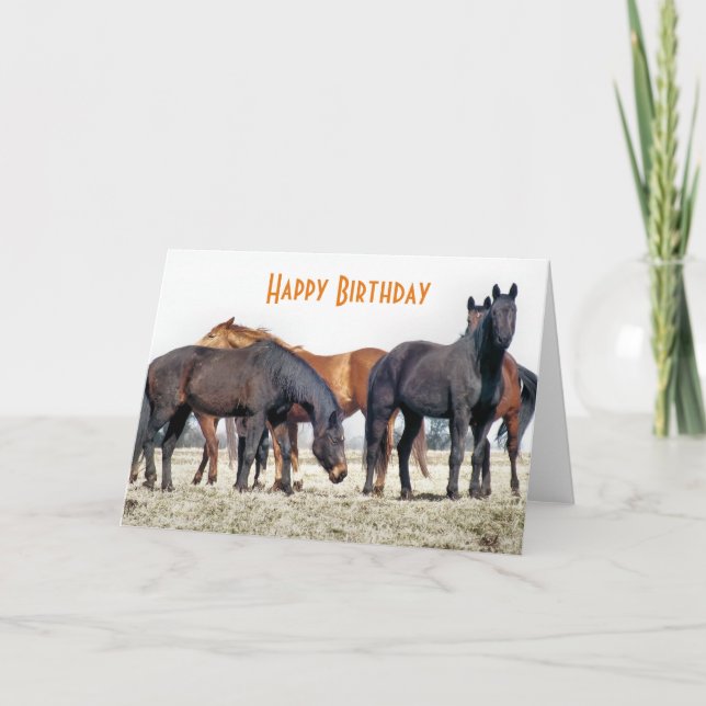 HORSES KORT (Framsida)