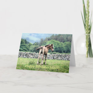 HORSES KORT