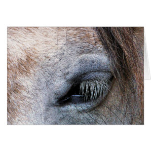 HORSES-kort Hälsningskort