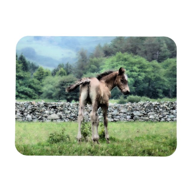 HORSES MAGNET (Horisontell)