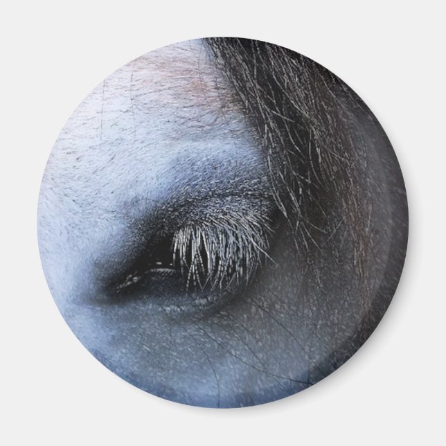 HORSES MAGNET (Framsidan)