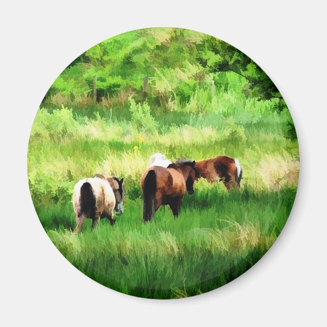 HORSES MAGNET (Framsidan)