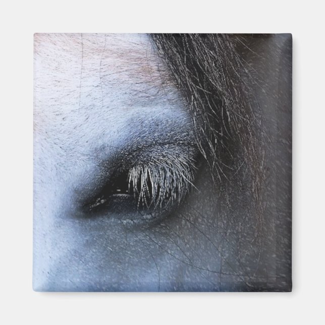 HORSES MAGNET (Framsidan)