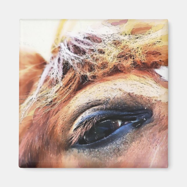 HORSES MAGNET (Framsidan)