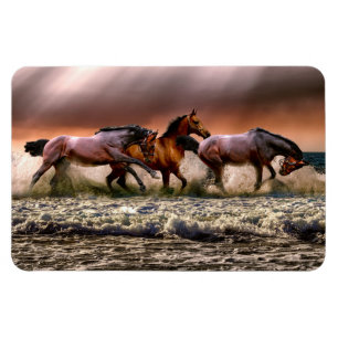 Horses Magnet