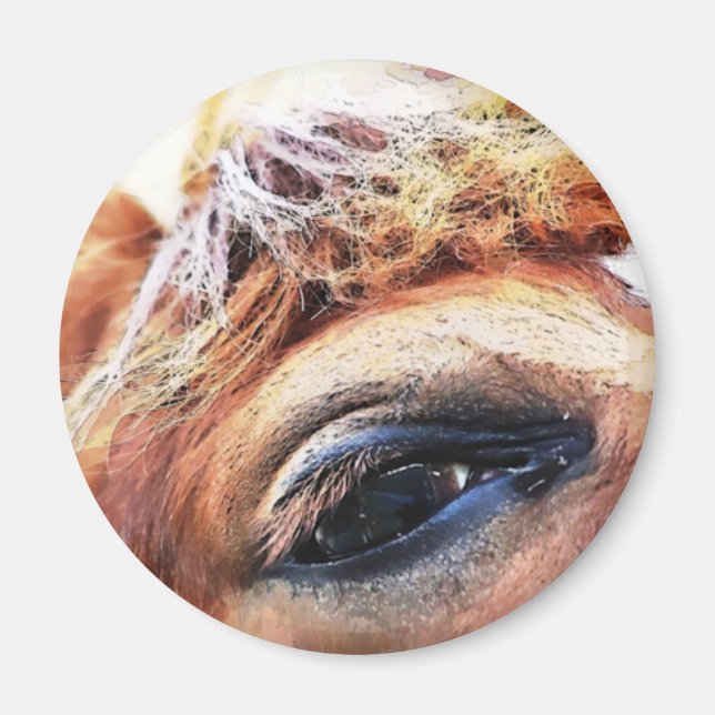 HORSES MAGNET (Framsidan)