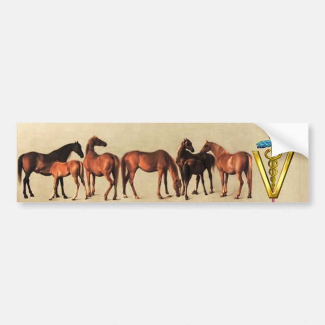 HORSES/MARES OCH FOALS CADUCEUS VETERINARY SYMBOL BILDEKAL (Framsidan)