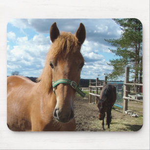 Horses mousepad musmatta