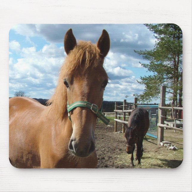 Horses mousepad musmatta (Framsidan)