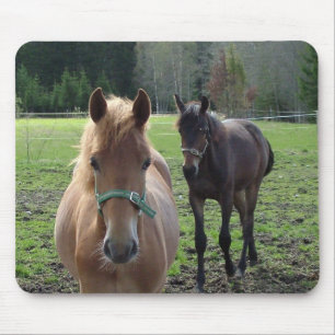 Horses mousepad musmatta