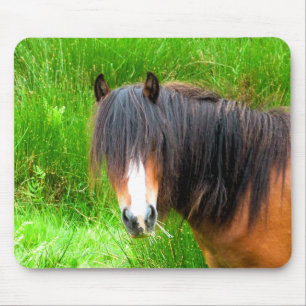 HORSES MUSMATTA