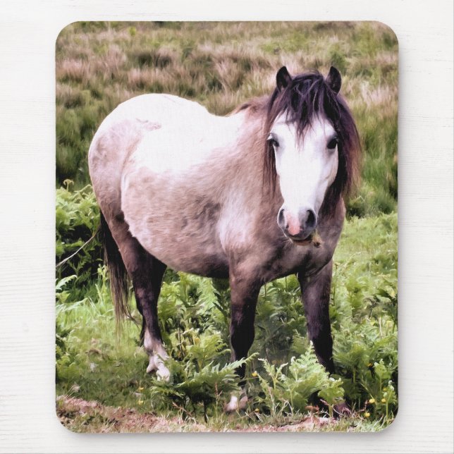 HORSES MUSMATTA (Framsidan)